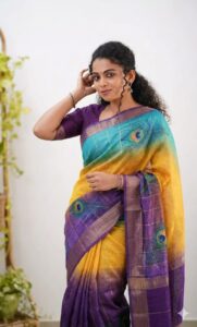 Dola Saree